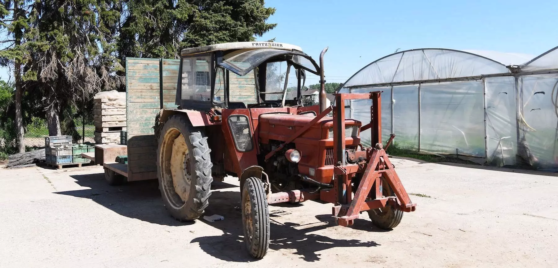 Bio-Gemüsefeld auf dem Hof von Biobauer Palm in Bornheim